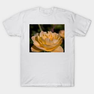 Yellow Rose T-Shirt